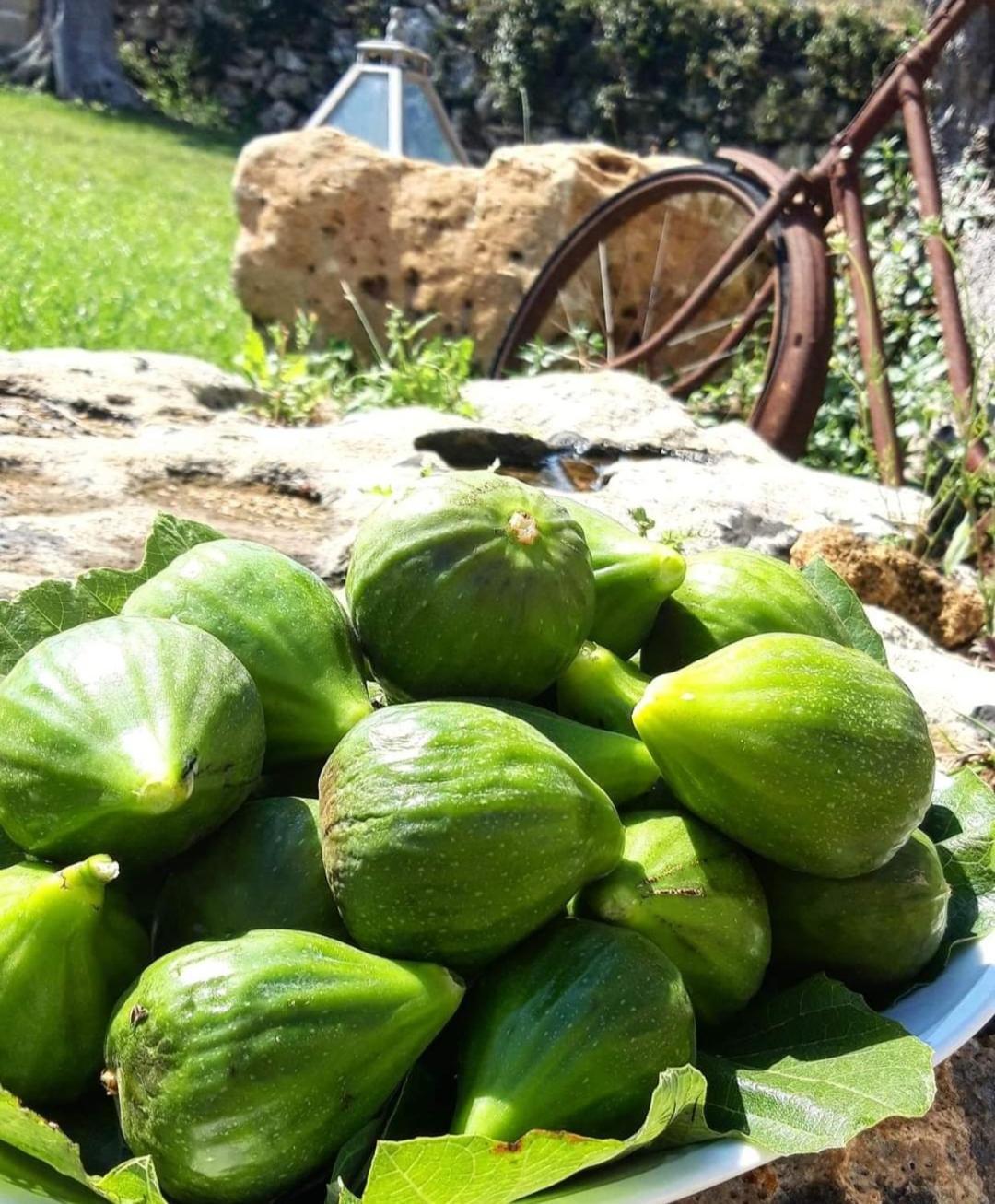 Giardini Di Marzo Βίλα Felline Εξωτερικό φωτογραφία